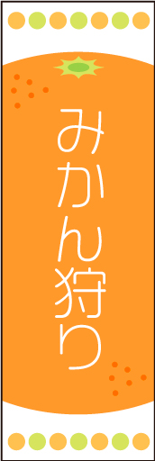みかん狩り01