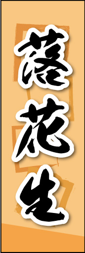 落花生 03