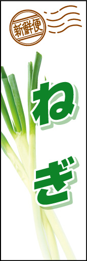 ねぎ01
