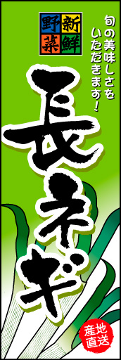 長ねぎ 01