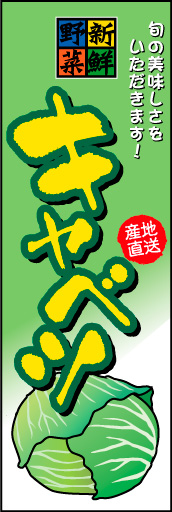 キャベツ 01