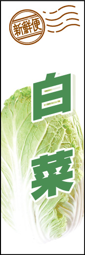 白菜01