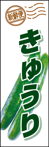 きゅうり01