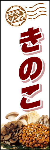 きのこ01