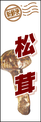 松茸01
