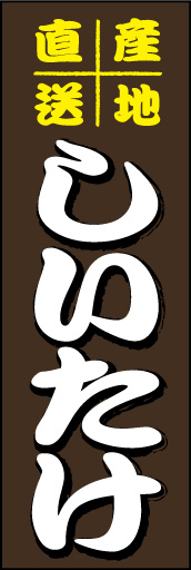 しいたけ01