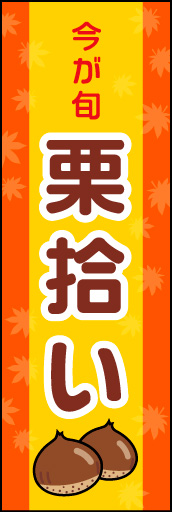 栗拾い 02