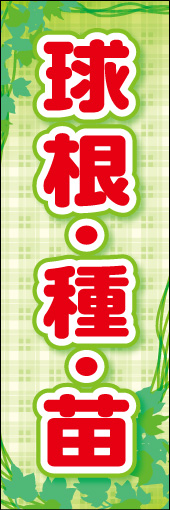 球根 タネ 苗 01
