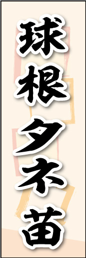球根 タネ 苗 02