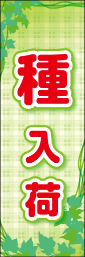 種 01