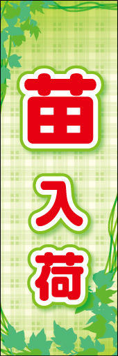 苗 02