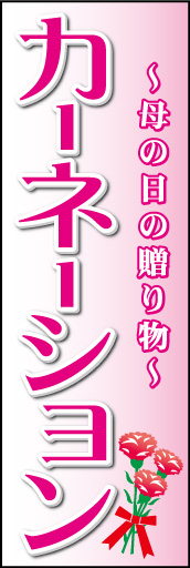 カーネーション01