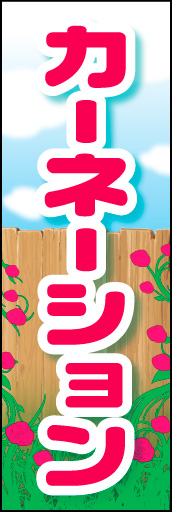 カーネーション 02