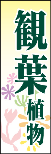 観葉植物01