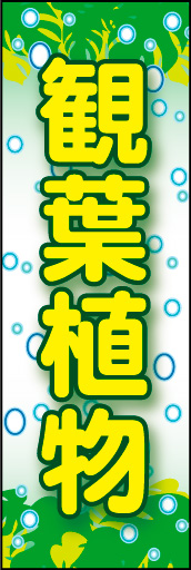 観葉植物 02