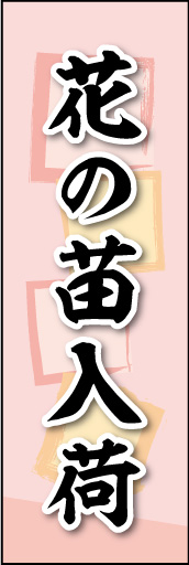 花の苗入荷 02
