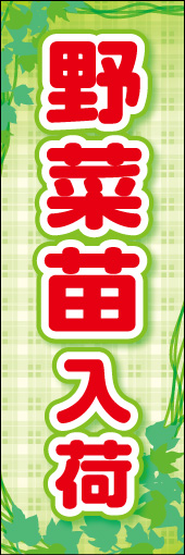 やさい苗入荷 02