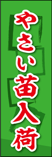 やさい苗入荷 03