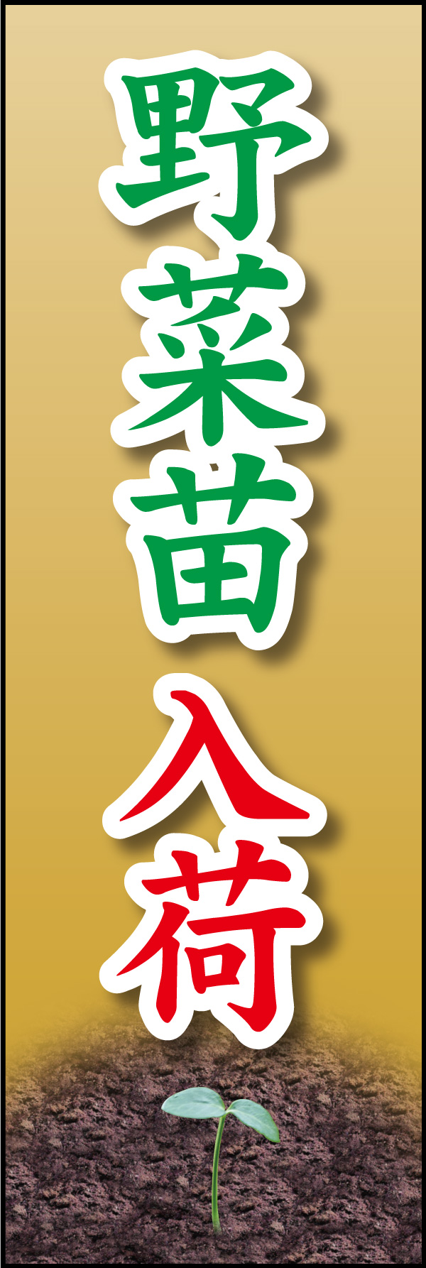 やさい苗入荷 04