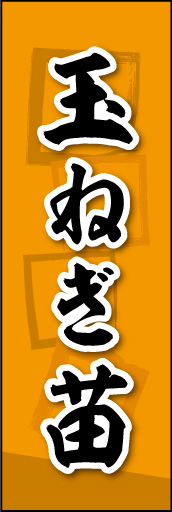 玉ねぎ苗 01
