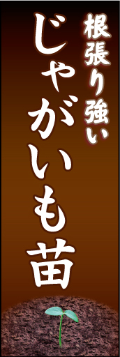じゃがいも苗01