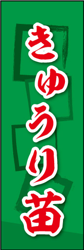 きゅうり苗 02