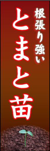 トマト苗01