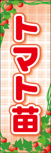 トマト苗 02