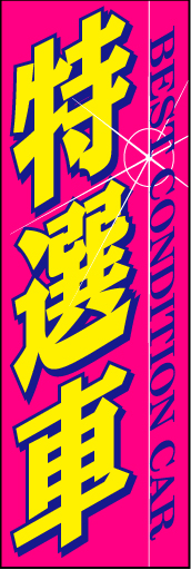特選車02