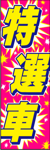 特選車03