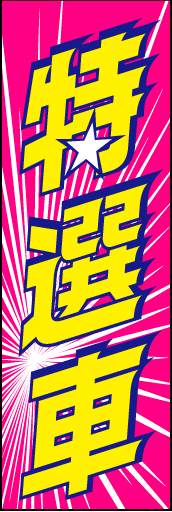 特選車04