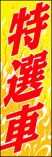特選車05