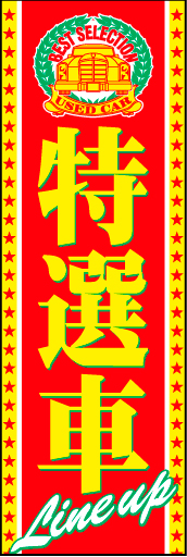 特選車06
