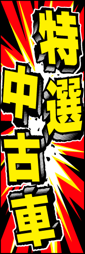 特選中古車04