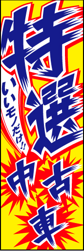 特選中古車08