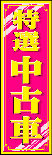 特選中古車11