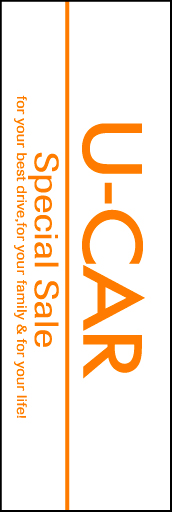 U-CAR03