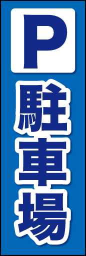 P 01