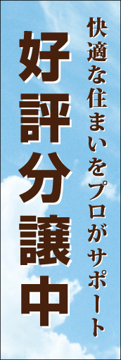 好評分譲中01