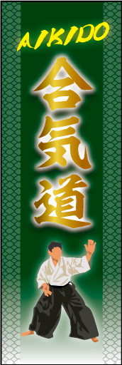 合気道01