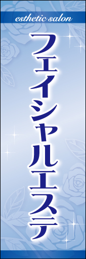 フェイシャルエステ01