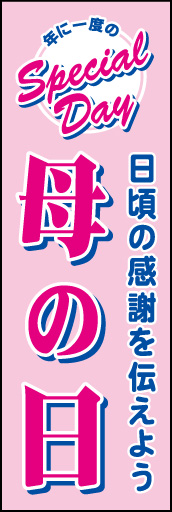 母の日 日頃の感謝02